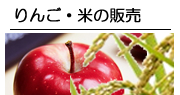 りんご・米の販売